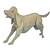 halpa 3D-palapelit-Puiset palapelit Koirat Professional Level Puinen 1 pcs Poikien Tyttöjen Lelut Lahja