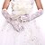 cheap Party Gloves-Lace / Cotton Wrist Length / Elbow Length Glove Charm / Stylish / Bridal Gloves With Embroidery / Solid