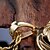 abordables Collier Homme-Homme Pendentif de collier Forme d&#039;Animal Lion Acier inoxydable Plaqué or Personnalisé Mode Bijoux Pour Soirée Halloween Quotidien
