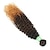 olcso Emberi haj tincs-1 csomagot Hajszövés Brazil haj Göndör Emberi hajhosszabbítás Emberi haj 100 g Ombre hajszövések / hajtömítés Árnyék