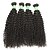 Недорогие Пряди натуральных волос Реми-Не подвергавшиеся окрашиванию Пряди натуральных волос Реми Кудрявый / Классика Бразильские волосы 400 g 1 год Повседневные