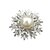 ieftine Broșe la Modă-Dame Broșe Modă European Perle Bijuterii Pentru Nuntă Petrecere Zilnic Casual