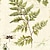 ieftine Rame-Pânză Înrămată Set Înrămat Floral/Botanic Wall Art, PVC Material cu Frame Pagina de decorare cadru Art Sufragerie Dormitor Bucătărie