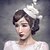 cheap Headpieces-Lace Net Headbands Fascinators Hair Combs Flowers Birdcage Veils Hair Pin Hair Stick Hair Tool Headpiece