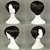 Χαμηλού Κόστους Περούκες μεταμφιέσεων-Περούκες για Στολές Ηρώων Συνθετικές Περούκες Περούκες Στολών Ίσιο Ίσια Περούκα Κοντό Μπεζ Συνθετικά μαλλιά Γυναικεία Καφέ hairjoy