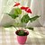 お買い得  造花-1 ブランチ プラスチック その他 植物 その他 テーブルトップフラワー 人工花
