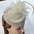 billige Bryllupshodeplagg-Fjær / Tøy / Nett fascinators / Birdcage slør med 1 Bryllup / Spesiell Leilighet / Avslappet Hodeplagg