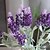 preiswerte Künstliche Blume-Künstliche Blumen 1 Ast Pastoralen Stil Lavendel Tisch-Blumen