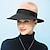 お買い得  レディース帽子-女性用 帽子 バケットハット キャメル 黒/ラクダ ブラック アウトドア 日常 高通気性