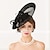 billiga Hattar och fascinators-fascinators lin fjäder kentucky derby hatt headpiece