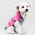 お買い得  犬用服-ネコ 犬 セーター パーカー 子犬の服 カラーブロック カジュアル／普段着 冬 犬用ウェア 子犬の服 犬の衣装 ピンク コスチューム 女の子と男の子の犬のために コットン XXS XS S M L