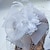 Χαμηλού Κόστους Κεφαλό Γάμου-Τούλι Φτερό Δίχτυ Διακοσμητικά Κεφαλής Καπέλα Βέλα κλουβιού πουλιών Headpiece