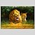 halpa Eläintaulut-Hang-Painted öljymaalaus Maalattu - Eläimet Klassinen Moderni Sisällytä Inner Frame / Venytetty kangas