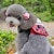お買い得  犬用旅行グッズ-ネコ 犬 犬パック 携帯用 キュート ファブリック レッド