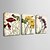 olcso Képek-Kifeszített vászonnyomat Vászon szett Botanikus Három elem Vízszintes Nyomtatás fali dekoráció lakberendezési
