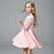 cheap Casual Dresses-Kids Little Girls&#039; Dress Patchwork Daily Lace Patchwork Pink 3/4 Length Sleeve Streetwear Dresses Fall Spring Regular Fit