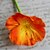 tanie Sztuczne kwiaty-PU Fason europejski Bukiety na stół 10