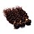 お買い得  つけ毛（カラー）-人間の髪編む ブラジリアンヘア ウェーブ ３個 ヘア織り