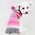 economico Vestiti per cani-Gatto Cane Maglioni Felpe con cappuccio Vestiti del cucciolo Monocolore Casual Inverno Abbigliamento per cani Vestiti del cucciolo Abiti per cani Rosa Costume per ragazza e ragazzo cane Cotone XXS XS