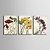olcso Képek-Kifeszített vászonnyomat Vászon szett Botanikus Három elem Vízszintes Nyomtatás fali dekoráció lakberendezési