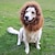 cheap Dog Clothes-Cat Dog Costume Hoodie Lion Wig Animal Lion Cosplay Lion Funny Dog Clothes Puppy Clothes Dog Outfits Light Brown Dark Brown White Costume Large Dog for Girl and Boy Dog Faux Fur S M L