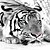 tanie Murale ścienne-Fototapeta tapeta naklejka ścienna pokrywająca druk klej wymagany efekt 3d tygrys zwierzę płótno wystrój domu!