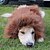 Χαμηλού Κόστους Ρούχα για σκύλους-Γάτα Σκύλος Στολές Φούτερ με Κουκούλα Περούκα Λιοντάρι Ζώο Λιοντάρι Στολές Ηρώων Λιοντάρι Αστείος Ρούχα για σκύλους Ρούχα κουταβιών Στολές για σκύλους Ανοικτό Καφέ Σκούρο καφέ Λευκό Στολές