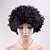 cheap Synthetic Trendy Wigs-Synthetic Wig Curly Curly Wig Short Natural Black #1B Synthetic Hair Women&#039;s Black
