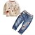 preiswerte Sets-Baby Mädchen Jeans Kleidungsset Langarm Grau Druck Zeichentrick Standard