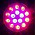 baratos Luz LED Ambiente-crescer luz led planta crescente luz led crescente lâmpada 18w 85-265v 1620-1800 lm e26 / e27 18 contas de led de alta potência led vermelho azul rohs fcc