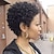 halpa Aidot kudelmiksi kootut peruukit-Ihmisen hiussekoitus Peruukki Lyhyt Kihara Pixie-leikkaus Lyhyt kampaus 2020 Marja Kihara Luonto musta Tummille naisille Koneella valmistettu Naisten Musta Keskipitkä Ruskea tumma viini Karnevaali