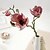 abordables Flores artificiales-Flores Artificiales 1 Rama Estilo Simple Orquídea Flor de Mesa