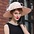 cheap Headpieces-Silk / Velvet Hats with 1 Wedding / Special Occasion Headpiece