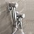 cheap Bidet Faucets-Classic Hand Shower Chrome Feature - Eco-friendly, Shower Head