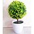 levne Umělé rostliny-Umělé květiny 1 Větev Moderní styl Rostliny Květina na stůl