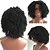 tanie Peruki z ludzkich włosów-Włosy naturalne Full lace bez kleju Pełna siateczka Peruka Rihanna styl Włosy brazylijskie Kinky Curl Natura Czarny Peruka 130% Gęstość włosów z Baby Hair Naturalna linia włosów Peruka