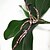 cheap Artificial Plants-Artificial Flowers 1 Branch Pastoral Style Orchids Tabletop Flower