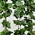 cheap Artificial Plants-Silk Pastoral Style Vine Wall Flower Vine 1