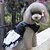 رخيصةأون ملابس الكلاب-قط كلب الفساتين ملابس الجرو أميرة ملابس الكلاب ملابس الجرو ملابس الكلب أبيض أسود كوستيوم للفتاة والفتى الكلب قطن S M L XL