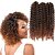 cheap Crochet Hair-Curly Curly Braids Kanekalon Hair Kanekalon Braids Braiding Hair 3 Roots