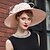 cheap Headpieces-Silk / Velvet Hats with 1 Wedding / Special Occasion Headpiece