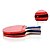 cheap Table Tennis-Ping Pang / Table Tennis Rackets Table Tennis Wearproof Durable 1 PCS 2 Rackets 1 Table Tennis Bag 3 Balls Performance Indoor