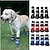 ieftine Îmbrăcăminte Câini-Pisici Câine Pantofi &amp; Cizme Impermeabil Bloc Culoare Pentru animale de companie Bumbac Negru / Iarnă
