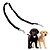 cheap Dog Collars, Harnesses &amp; Leashes-Dog Leash Hands Free Leash Double Dog Leash Reflective Adjustable / Retractable Running Safety Solid Colored Nylon Rubber Black Red Blue