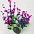 halpa Akvaarion koristeet ja sorat-akvaariokoristeet tekokasvit hornwort anacharis kalakulho vesikasvit keinokasvit sateenkaari keinomuovi 1 kpl 8*8*18 cm