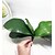 abordables Plantes artificielles-Fleurs artificielles 1 Une succursale style pastoral Orchidées Fleur de Table