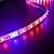 cheap WiFi Control-ZDM® 5m Growing Strip Lights 300 LEDs 5050 SMD 1 12V 6A Adapter / 1 DC Cables 4Red+1Blue Waterproof / Cuttable / New Design 100-240 V / 12 V 1 set / IP65 / Self-adhesive