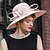 cheap Headpieces-Silk / Velvet Hats with 1 Wedding / Special Occasion Headpiece