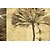 billige Malerier-Strukket Lærred Print Lærred Sæt Botanisk To Paneler Print Vægdekor Hjem Dekoration