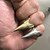 voordelige Herenringen-Heren Nagelvingerring Goud Zilver Legering Conische vorm Uniek ontwerp Speciale gelegenheden  Dagelijks Sieraden